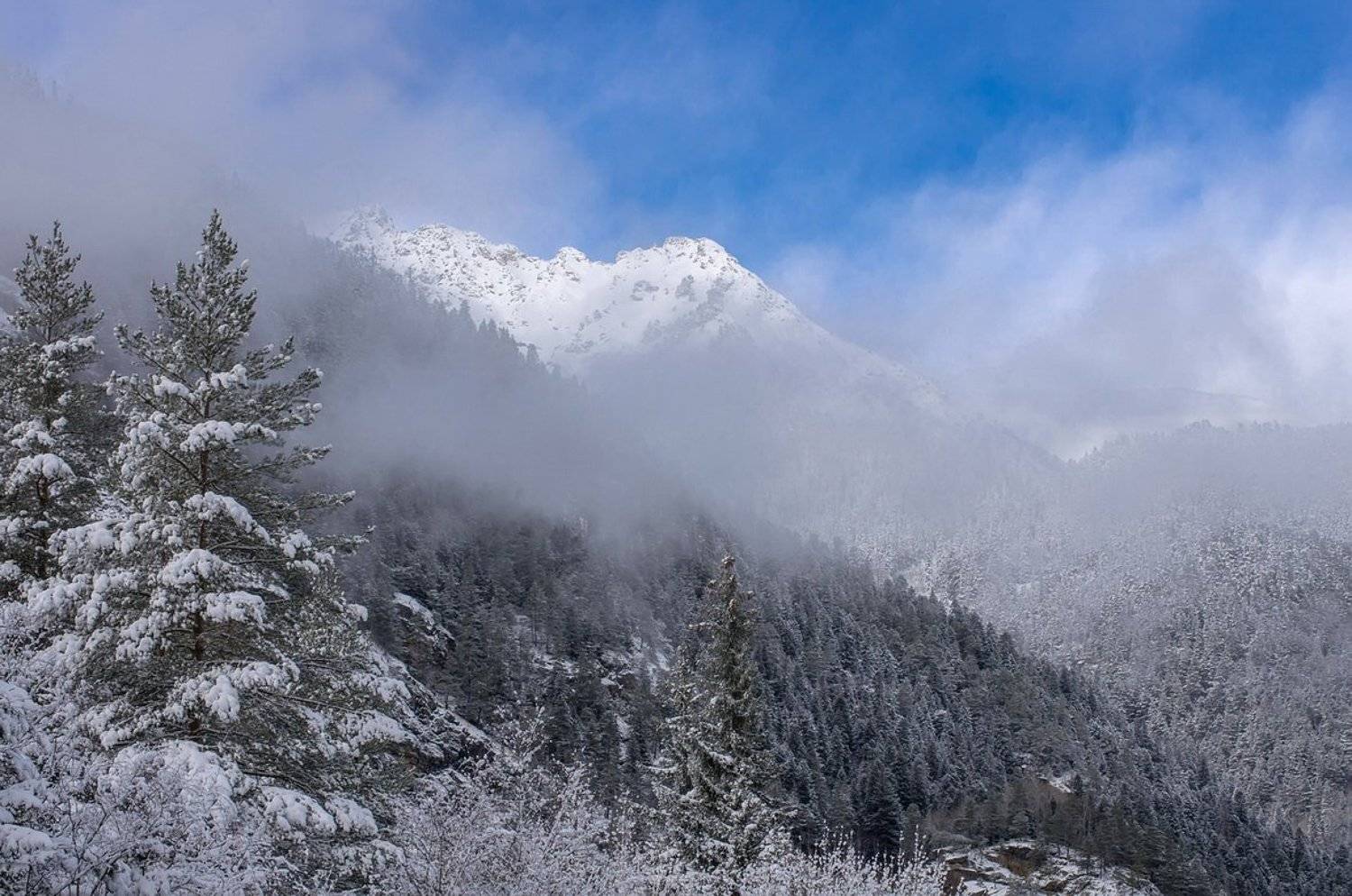 , Арсен Алабердов