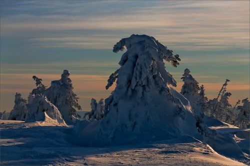 Снежные  наряды Зимы