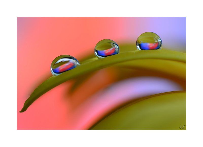 три капли II. фото превью