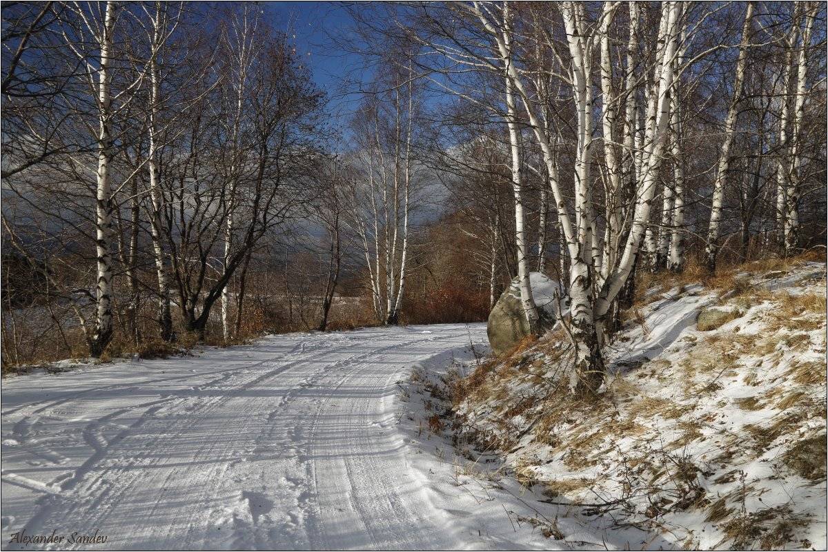 , Александър Сандев