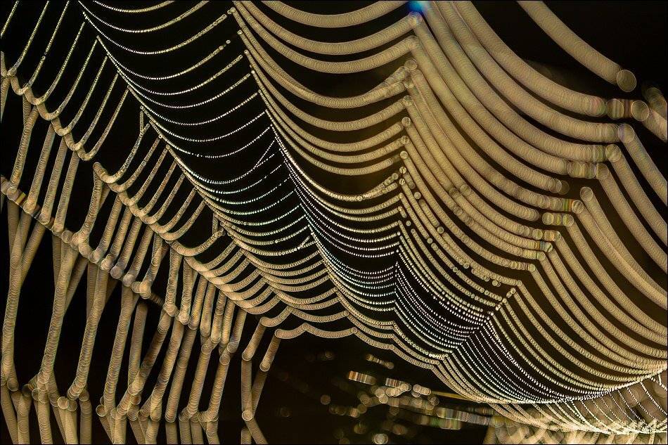 , Бурлов Андрей