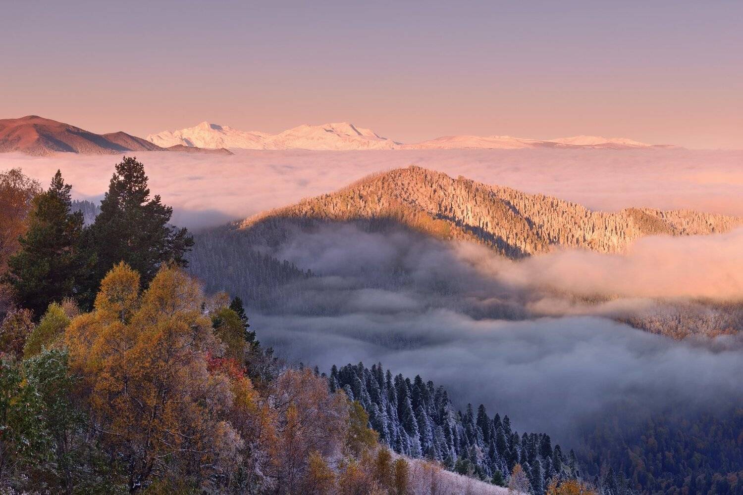 , Максим Евдокимов