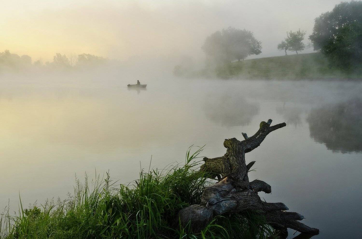, Животков Андрей