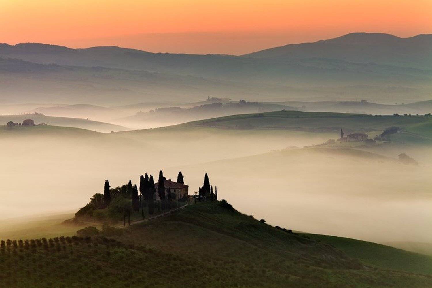 , Martin Rak