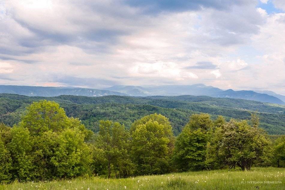 , Светлана Щемелева