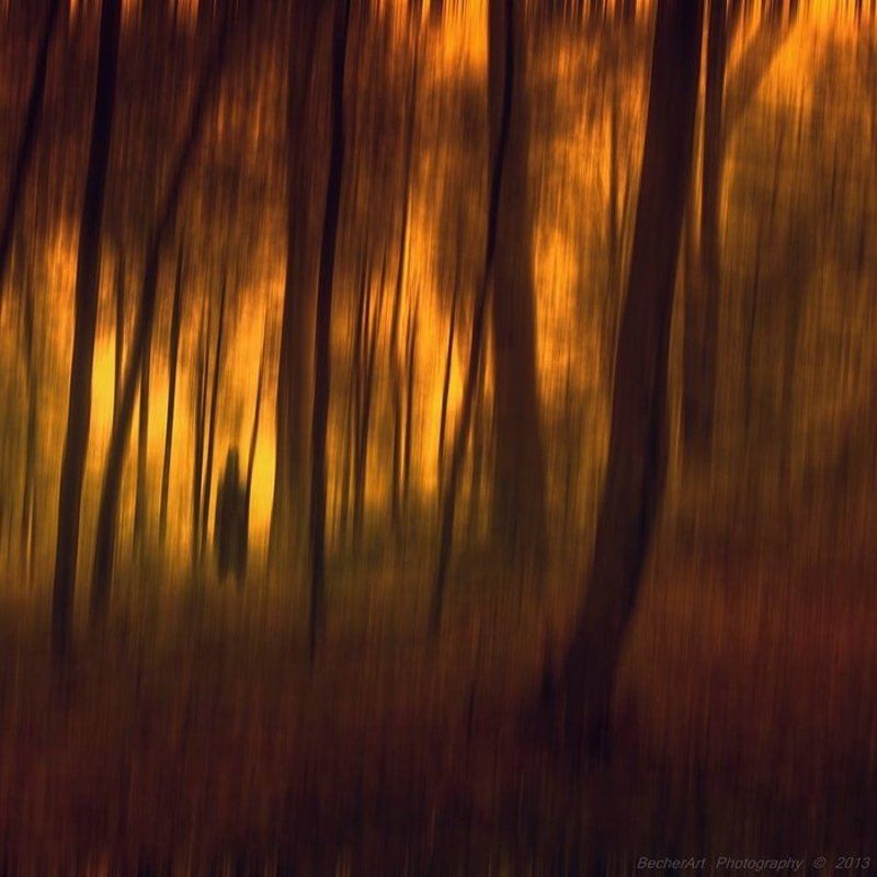 Ghostlines V фото превью