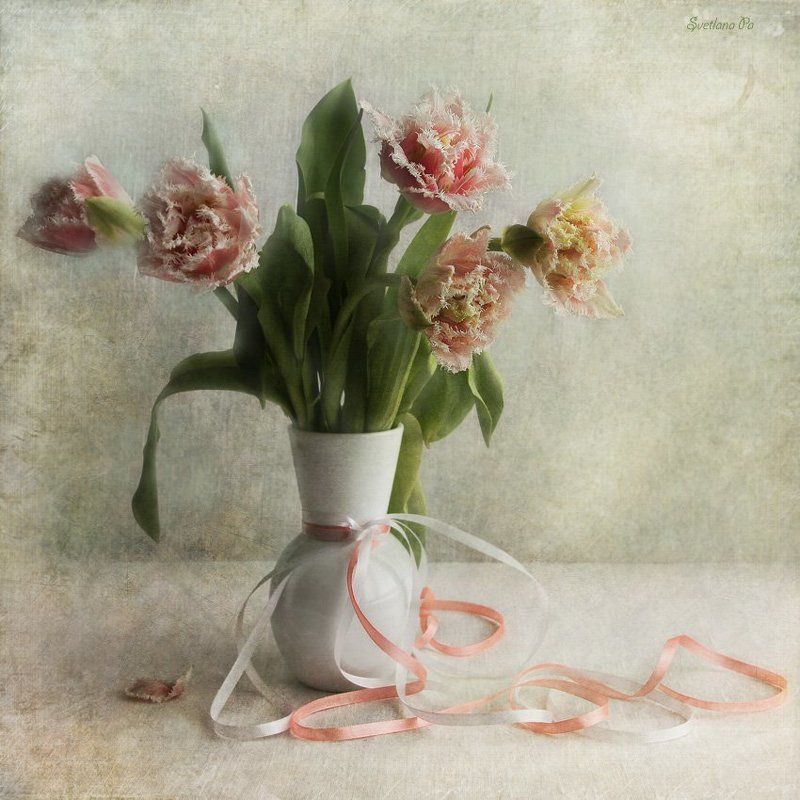 натюрморт *** фото превью