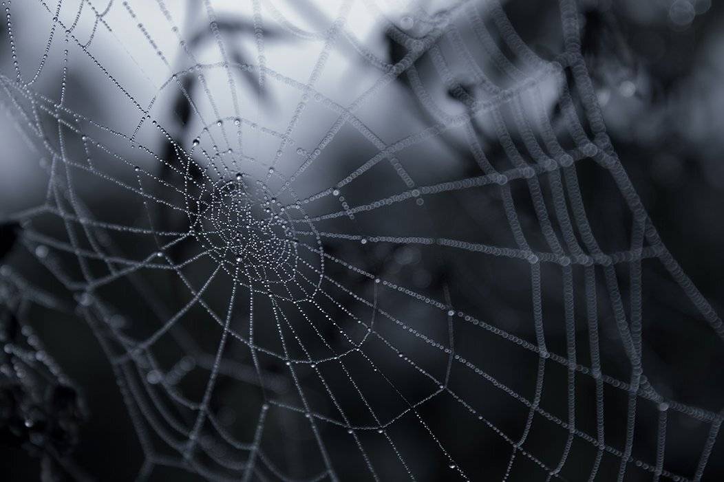 , Максим Филипов