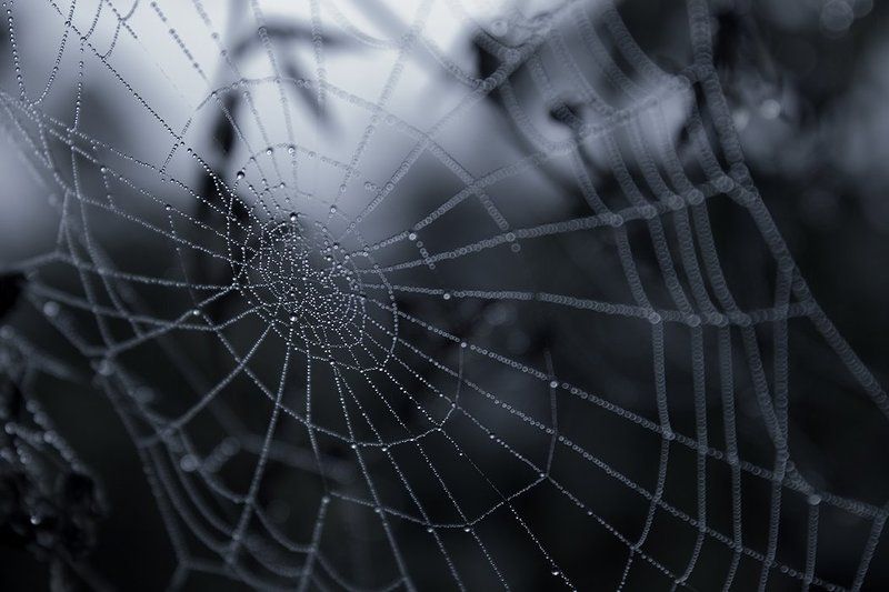 U фото превью