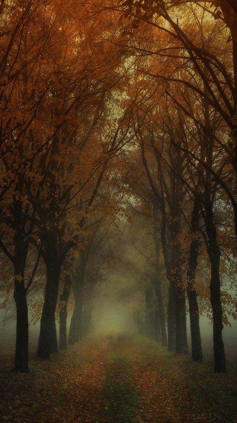 , Михаил  Пилипенко