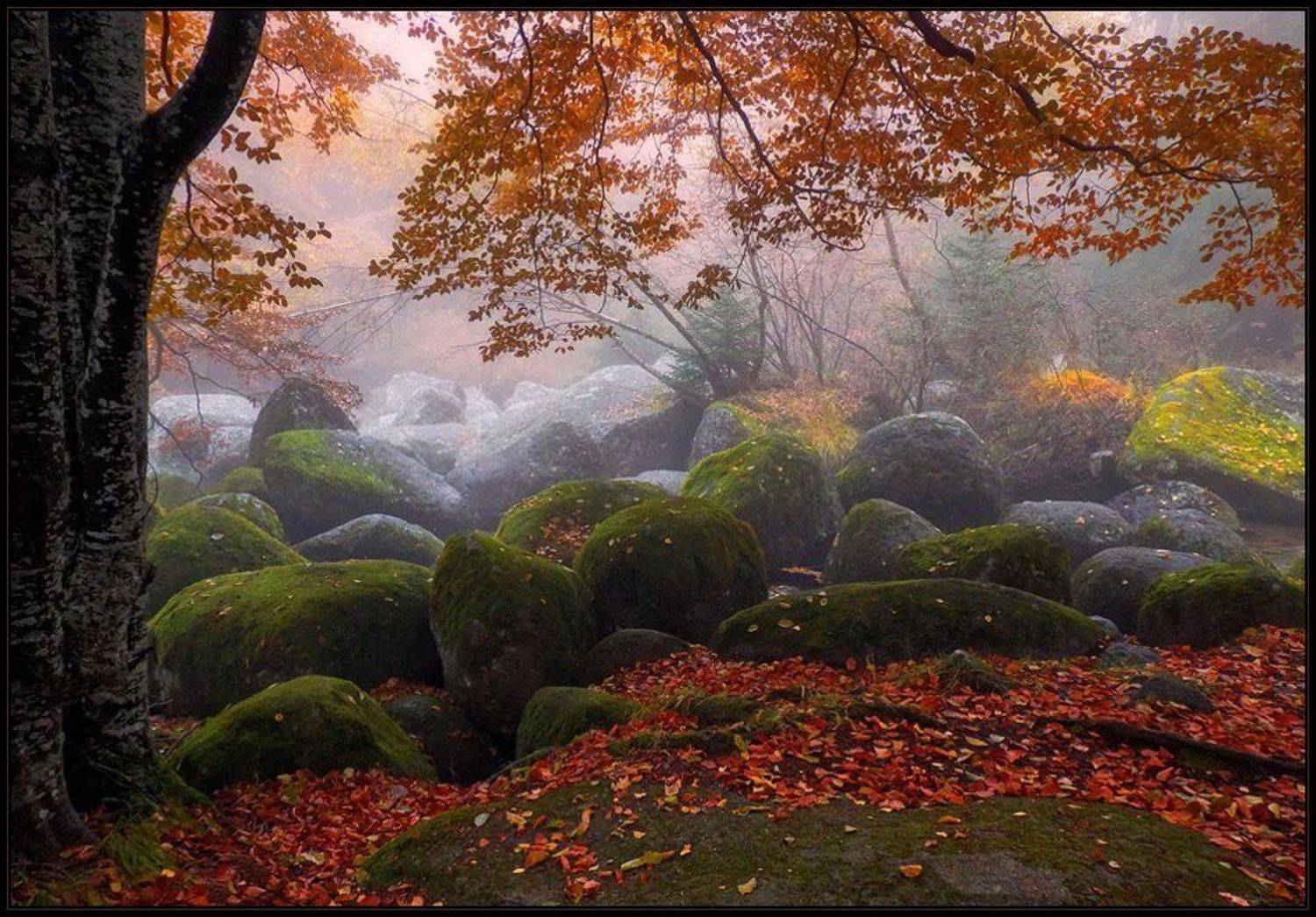 , Svetoslav Georgiev