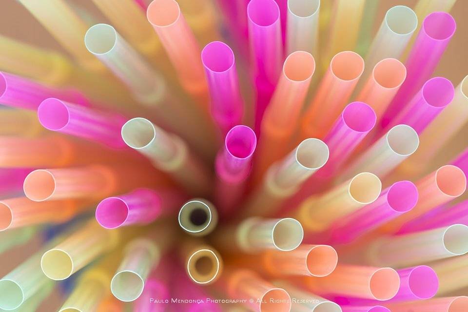 , Paulo Mendon&ccedil;a