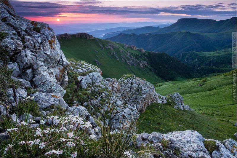 ~ Кокошник ~ фото превью