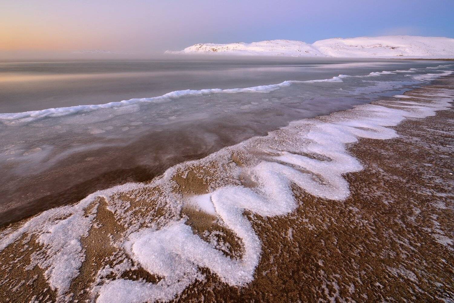 , Максим Евдокимов