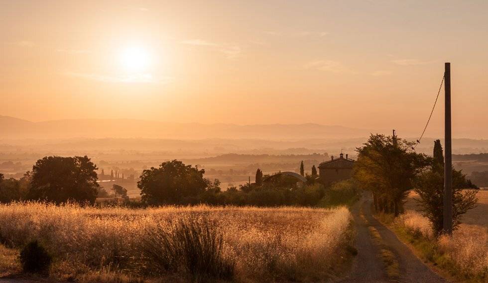 , Людмила Прокофьева