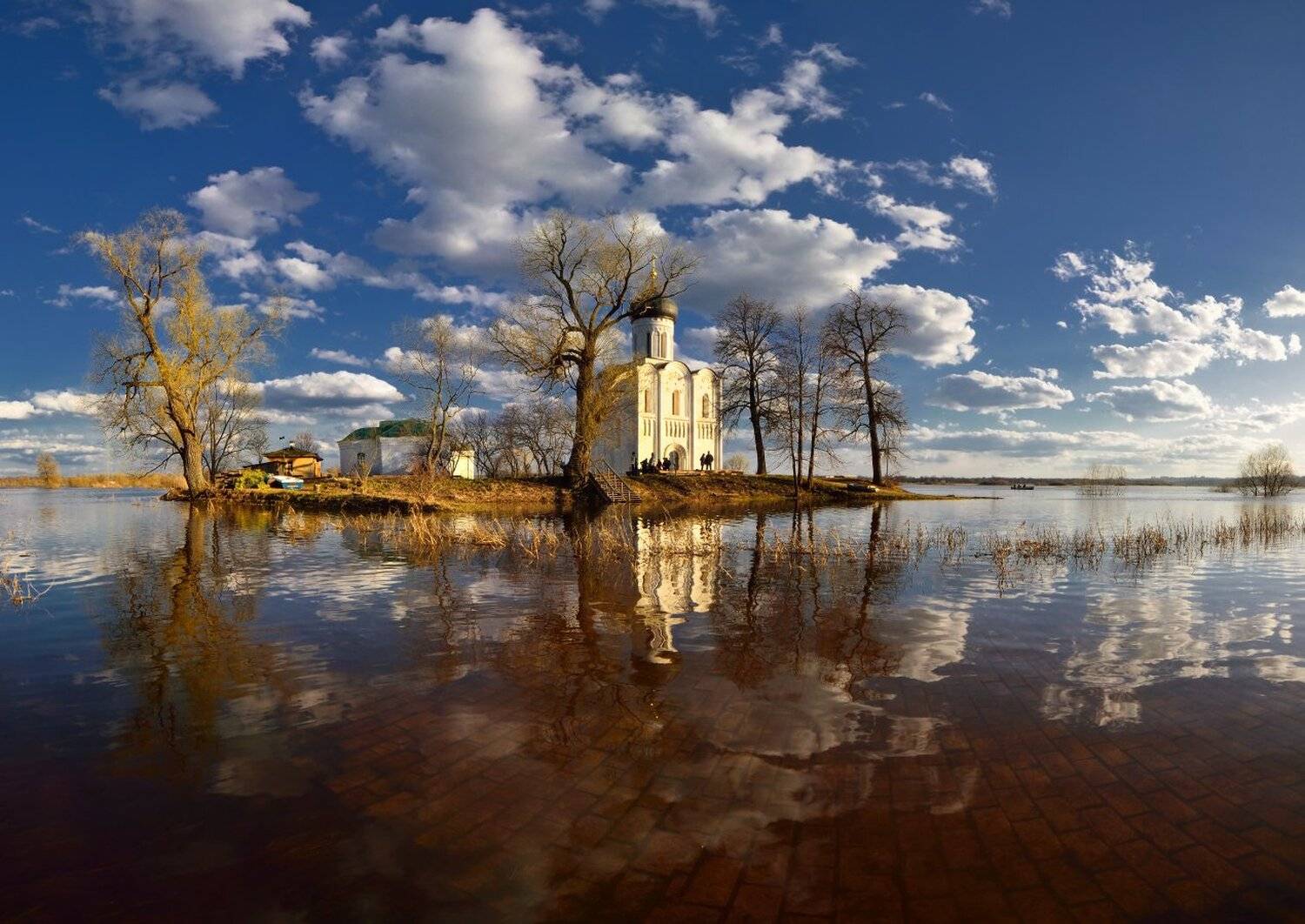 , Максим Евдокимов