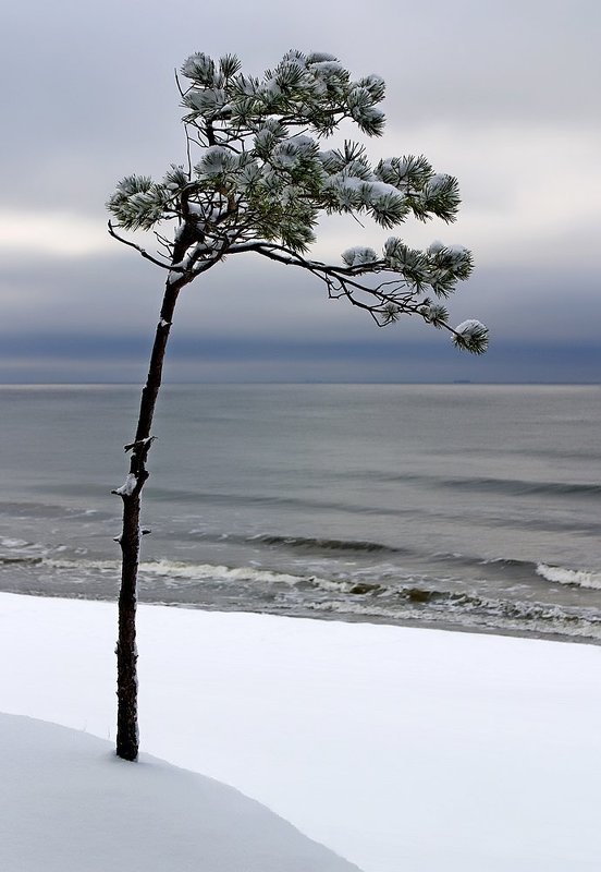 Одиночестве фото превью