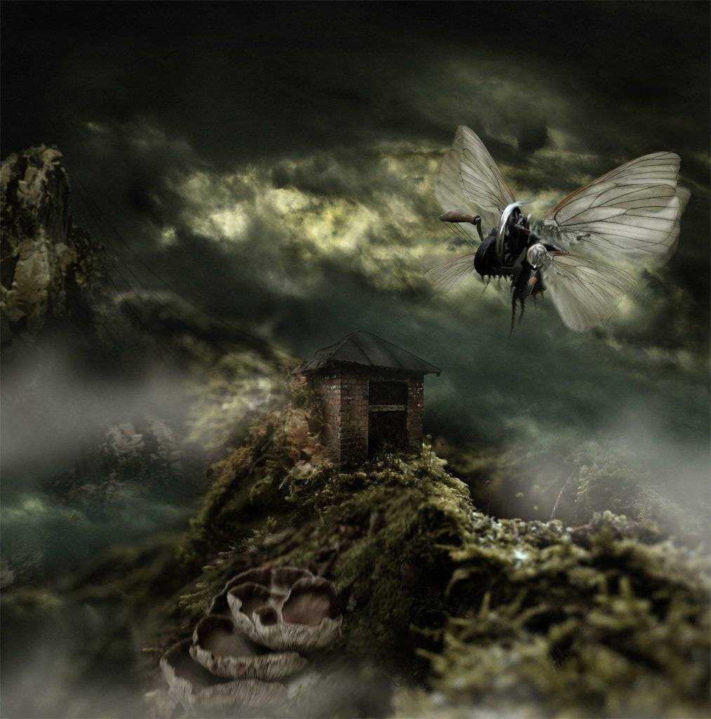 , Поздняк Виктор