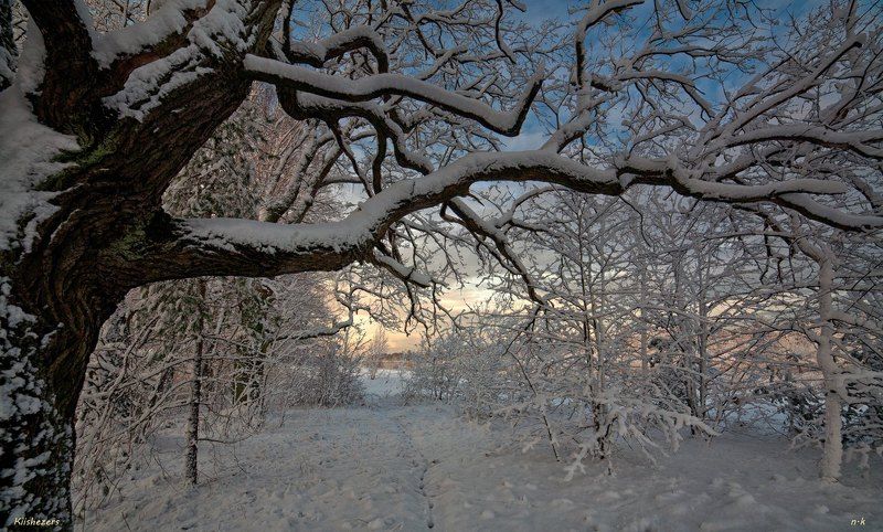 по следу фото превью