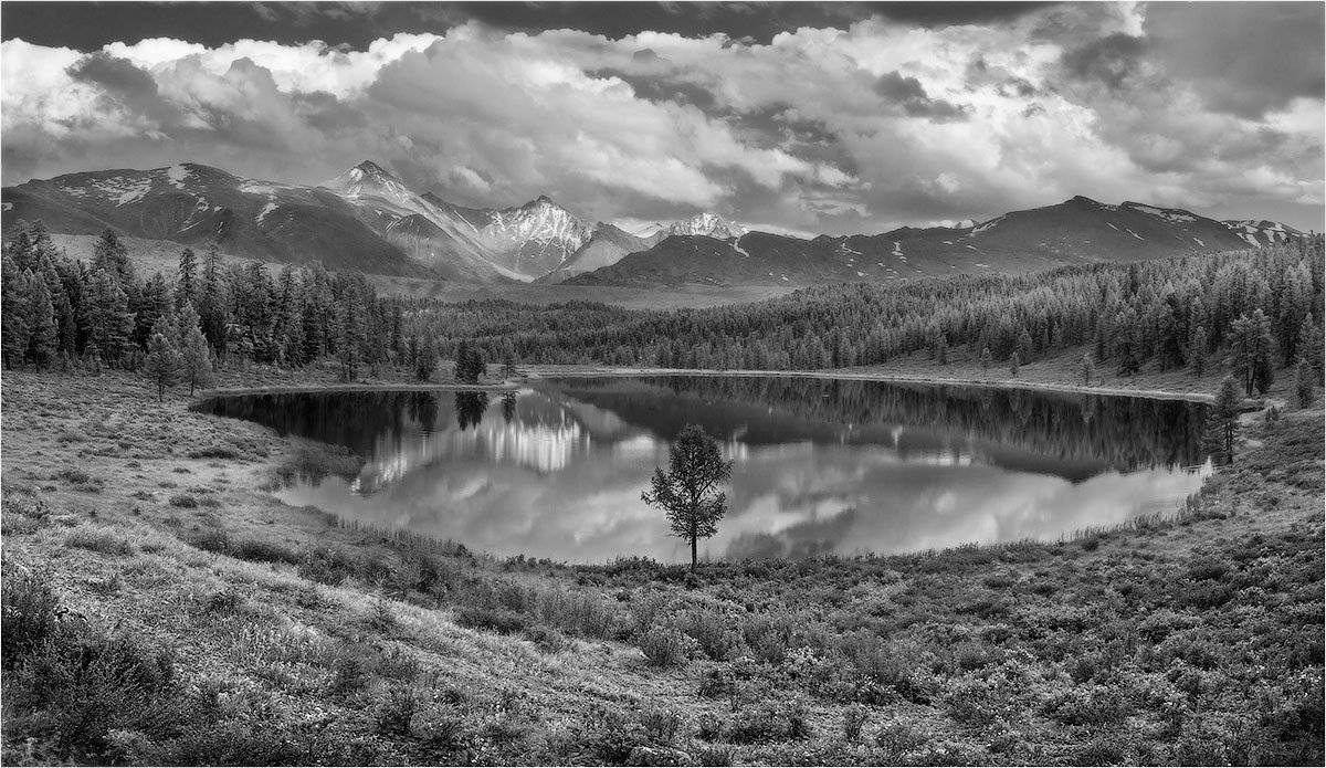 , Кутыгин Эдуард