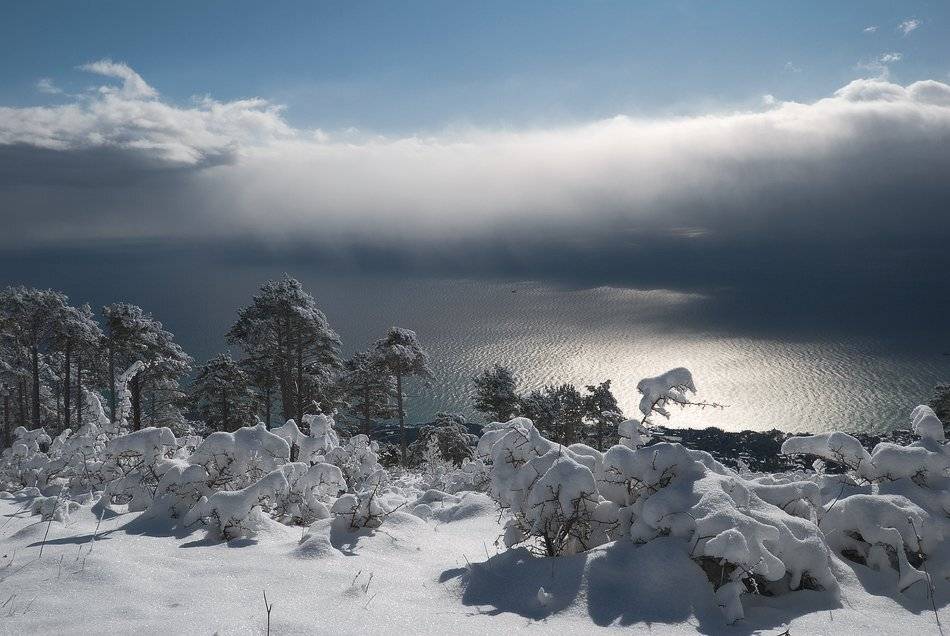 , Саша  Вайсберг.