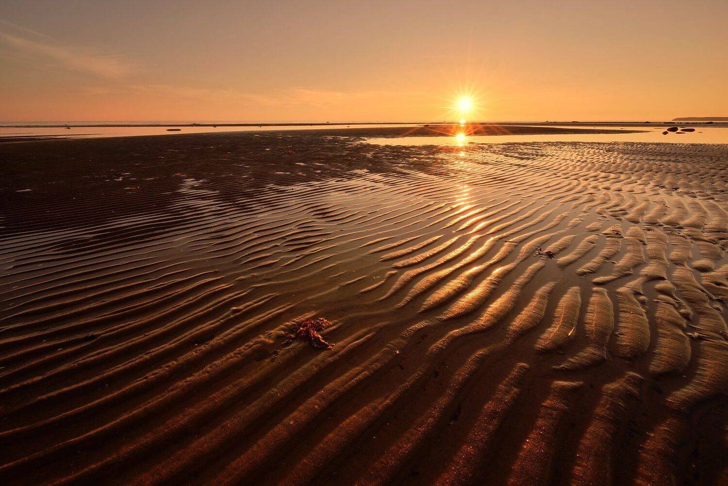 , Максим Евдокимов