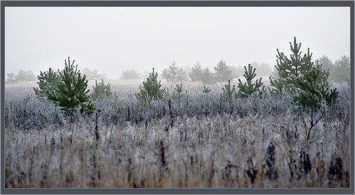 Прощай, осень!