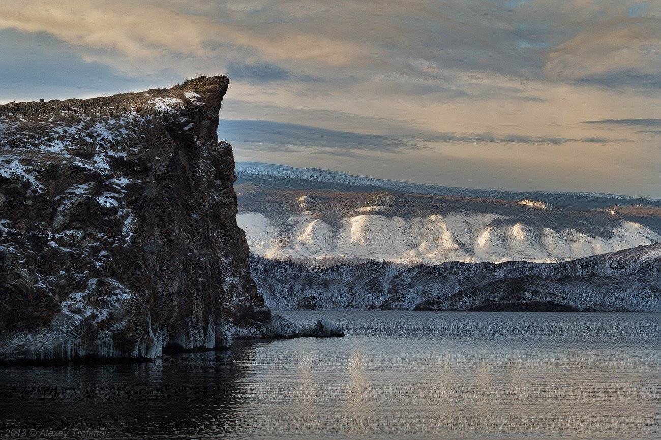 , Алексей Трофимов