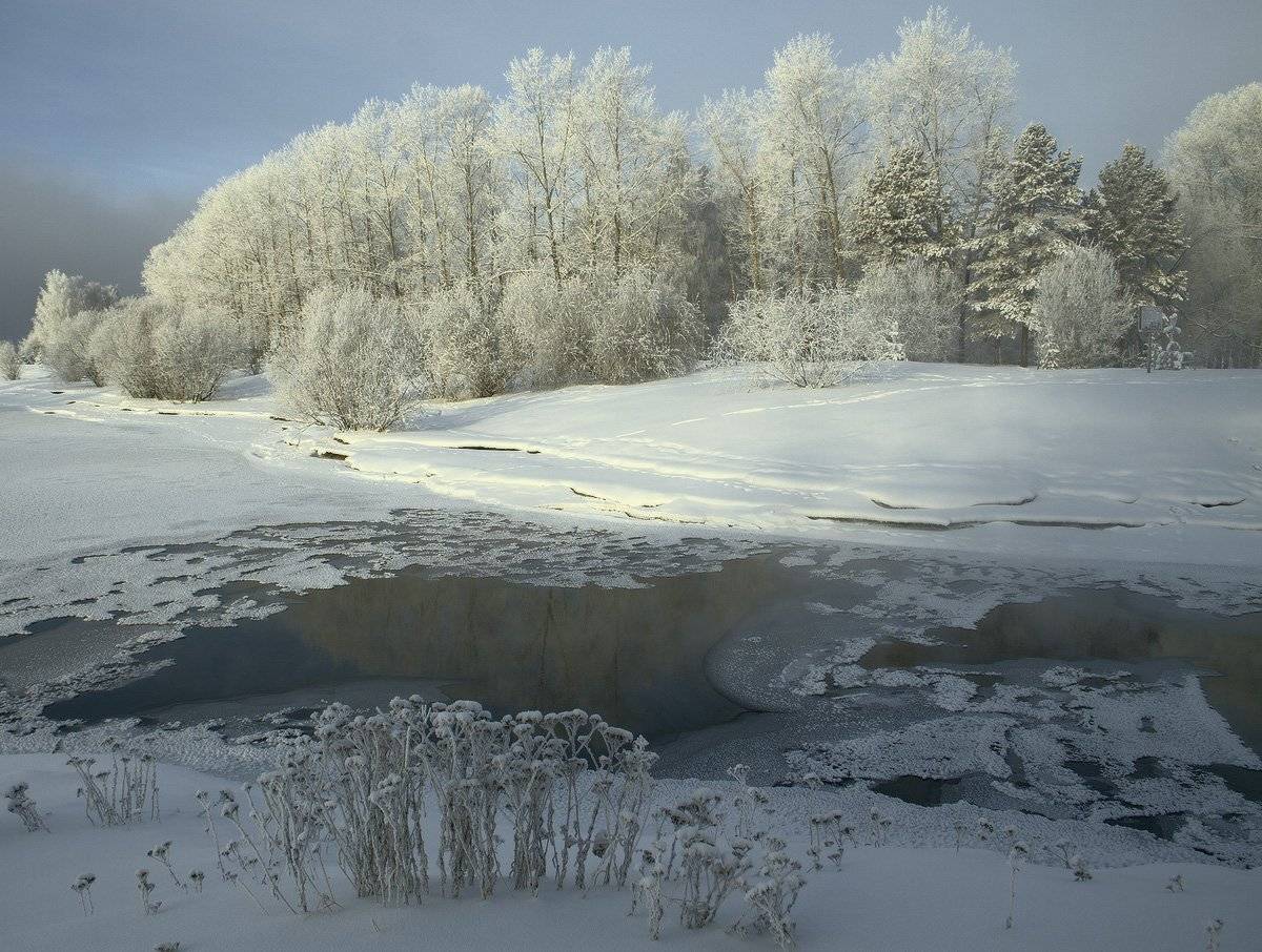 , Николай Морский