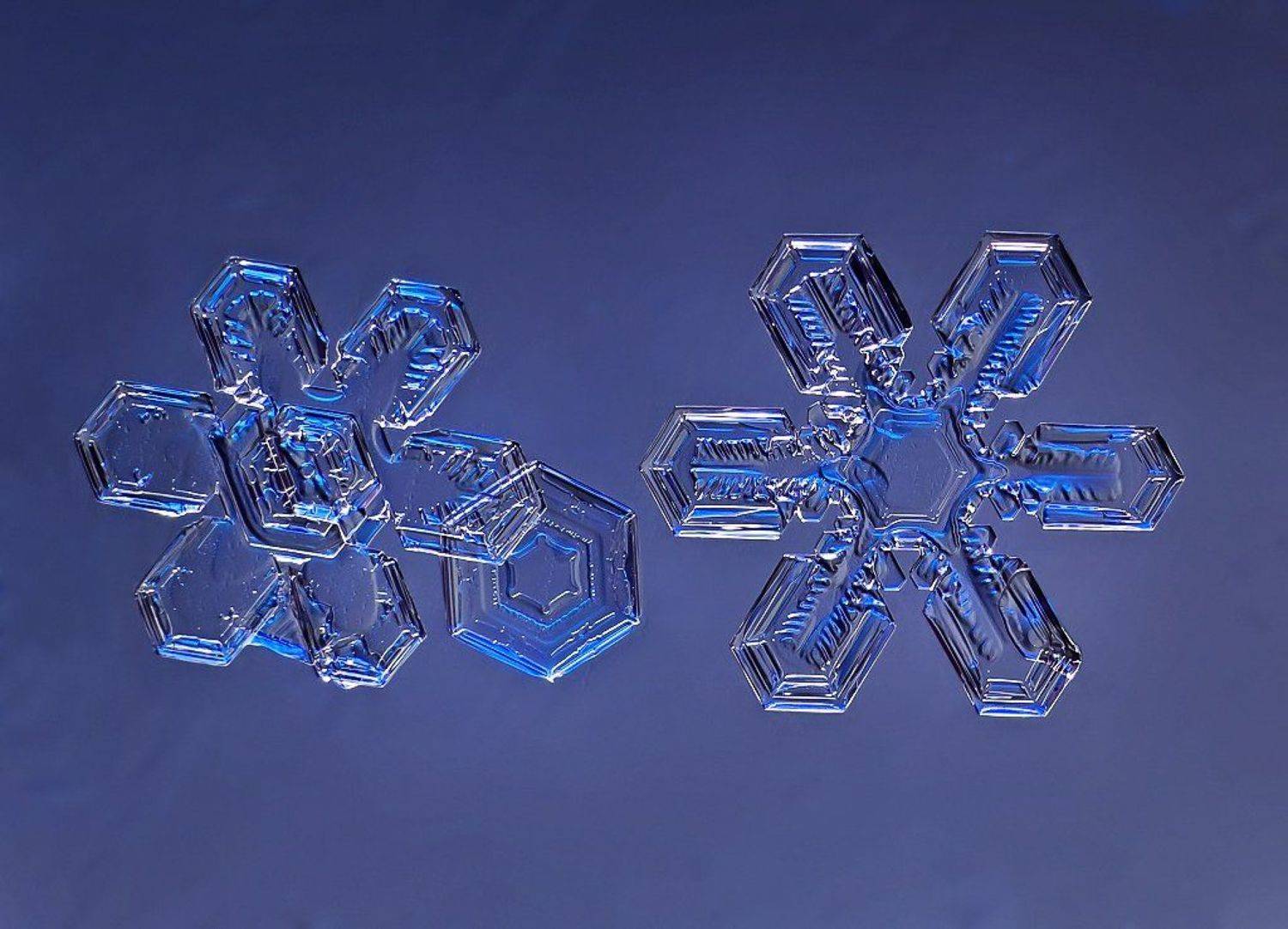 , Валерия Зверева