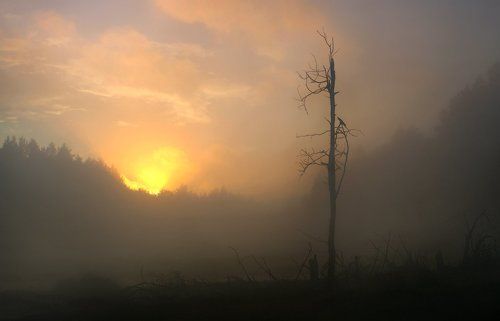 Туманный закат