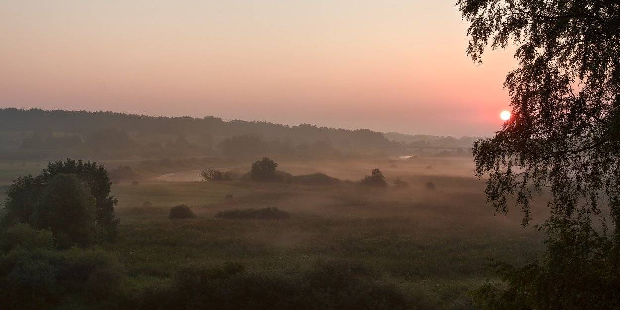 тригорское, Андрей Леонидович