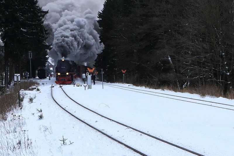 На всех парах фото превью