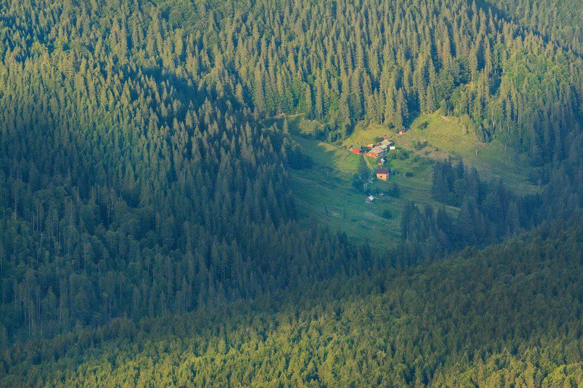 , Жмак Евгений