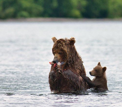 А мамка слушает, да ест!