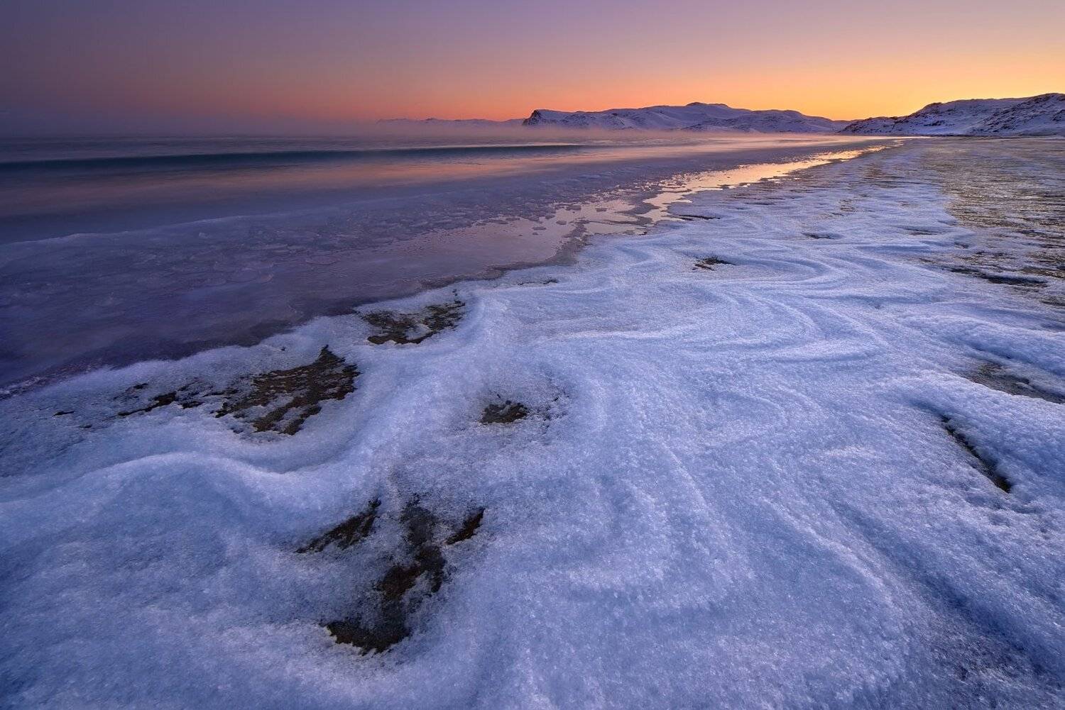 Териберка, Максим Евдокимов