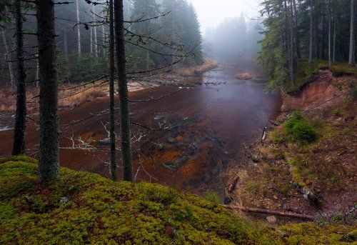 тихим серым ноябрьским днем