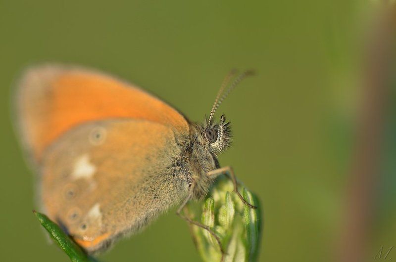 остальные фото превью