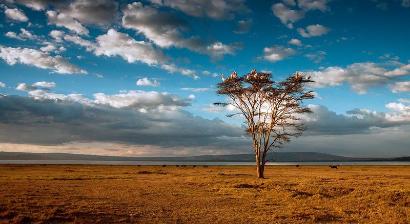 Возвращение на базу фото превью