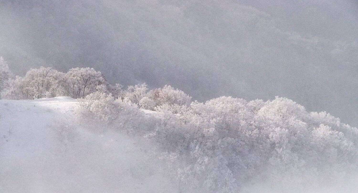 , Ирина Костова