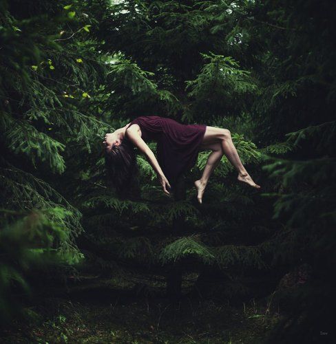 Kate and fairy forest