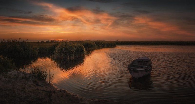 И к небу тянется рука фото превью