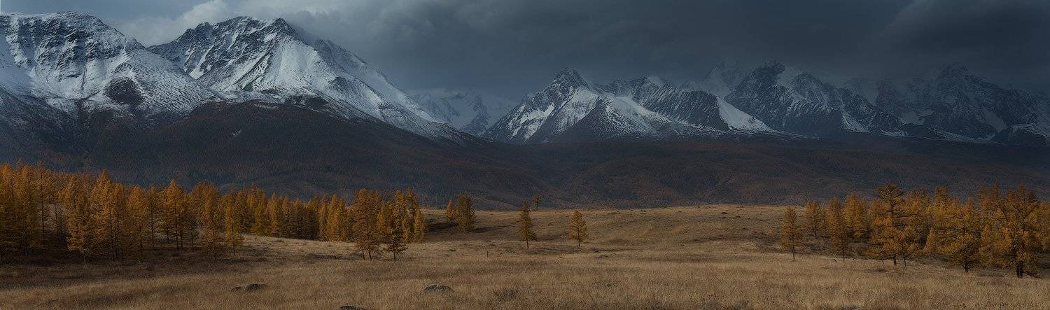 , Евгений Мартов
