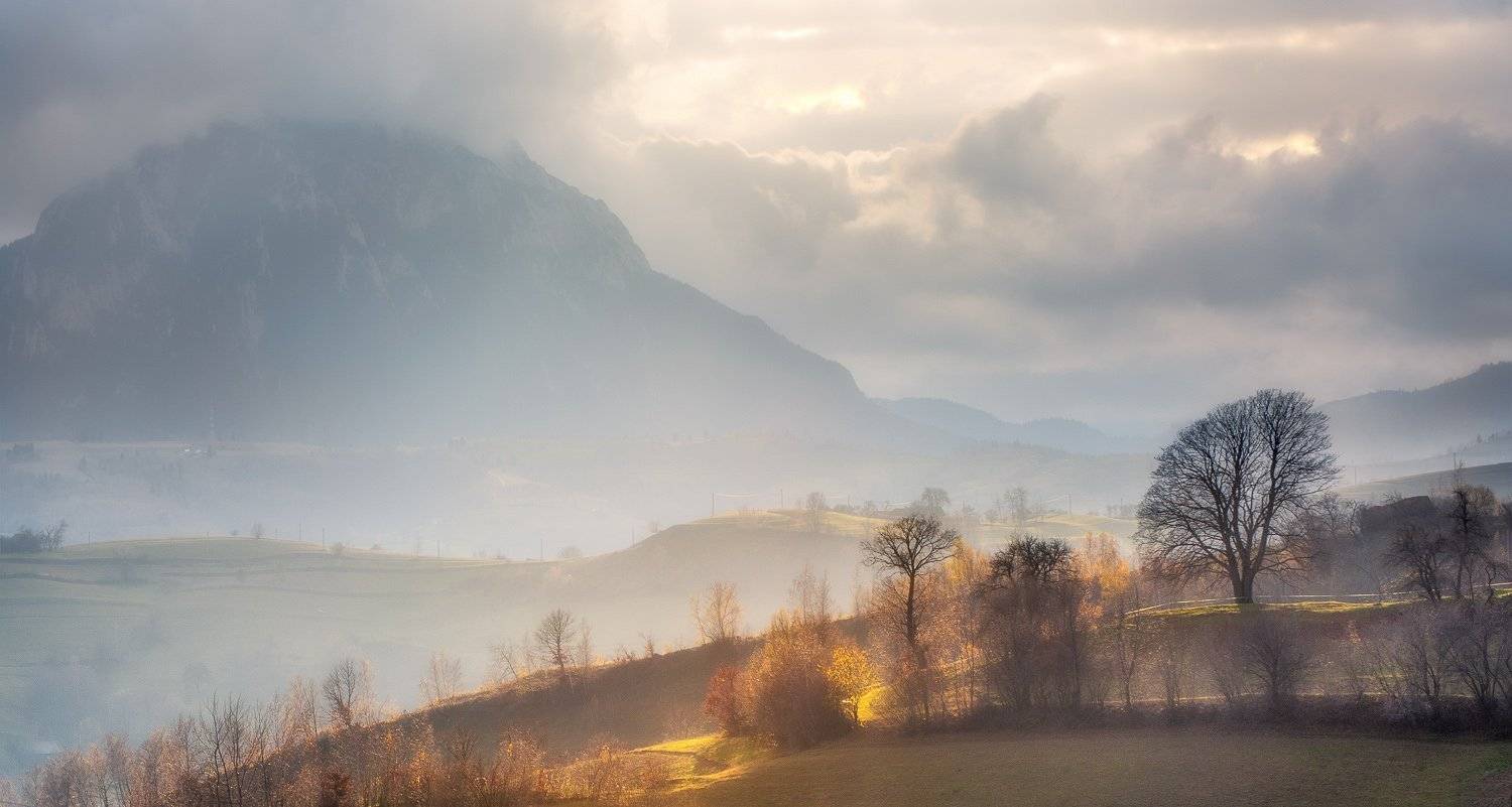 Autumn, Landscape, Nature, Romania, Trees, Ioan Chiriac