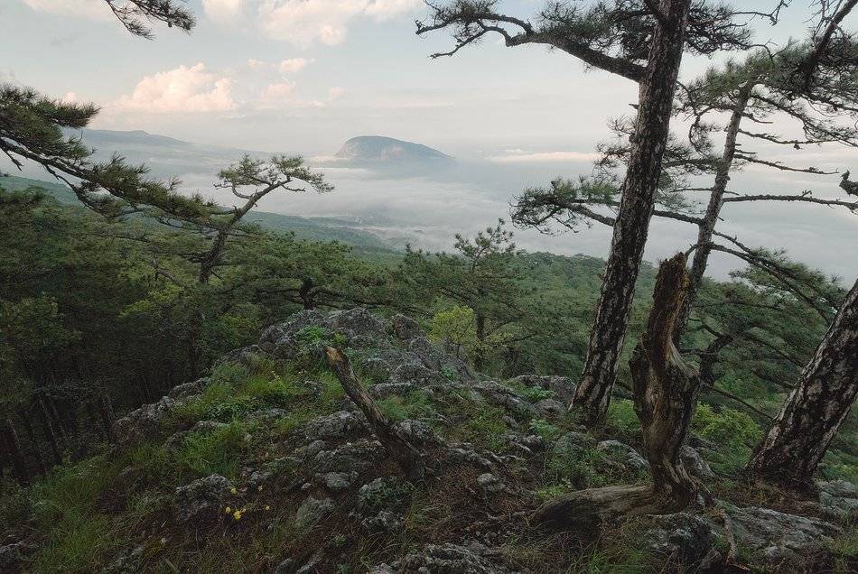, Саша  Вайсберг.