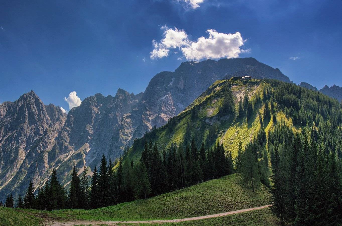 , Игорь Мелекесцев