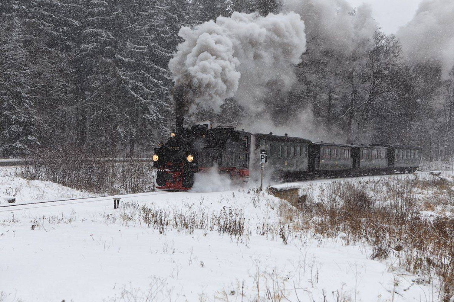 , Игорь Дубровский