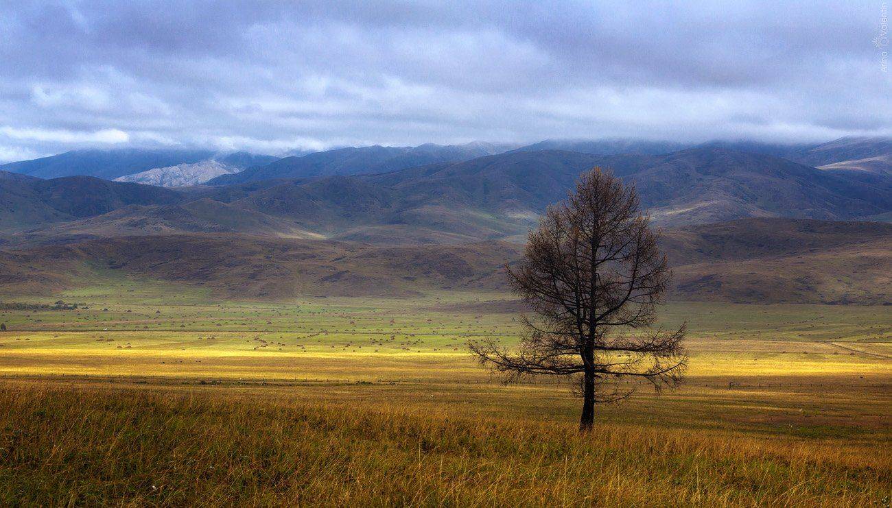 , Ратушнова-Осинцева Арина