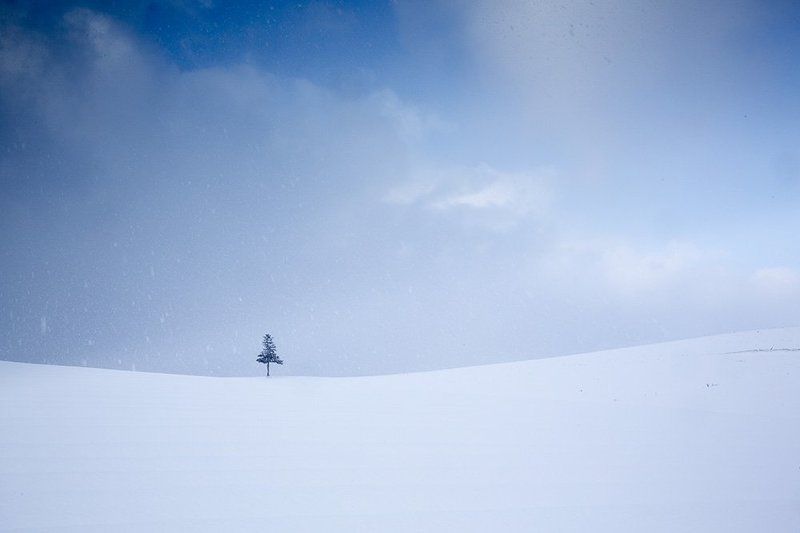 The winter of biei фото превью