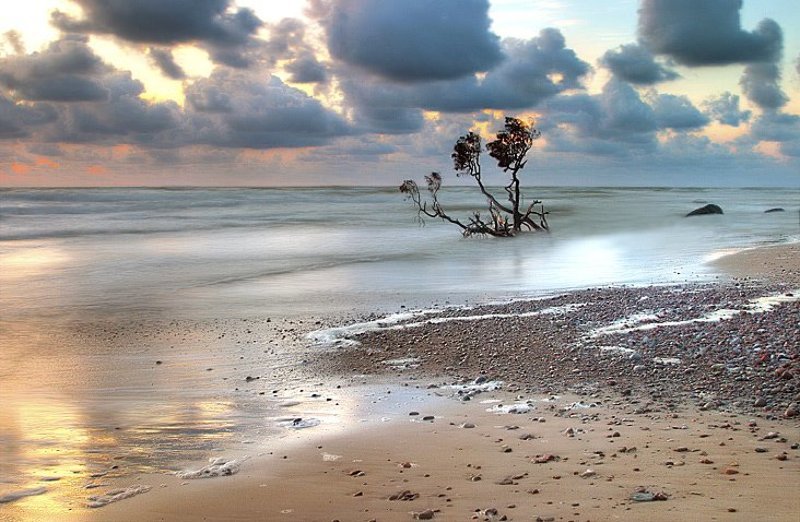 *** фото превью